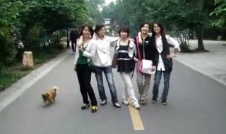 青春美少女组合图片 青春美少女组合图片